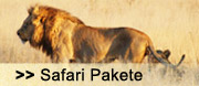 Safari Packages