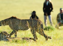Sarili  Walking Safari